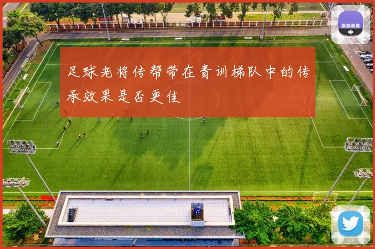足球老将传帮带在青训梯队中的传承效果是否更佳