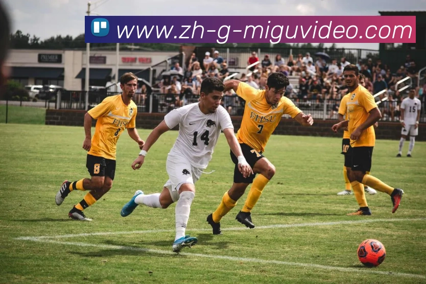 多媒体互动体验